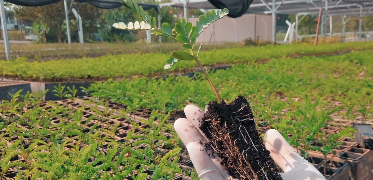 Imagen de portada para Biofábrica capacitó a productores de Fracrán y entregó insumos sin costo