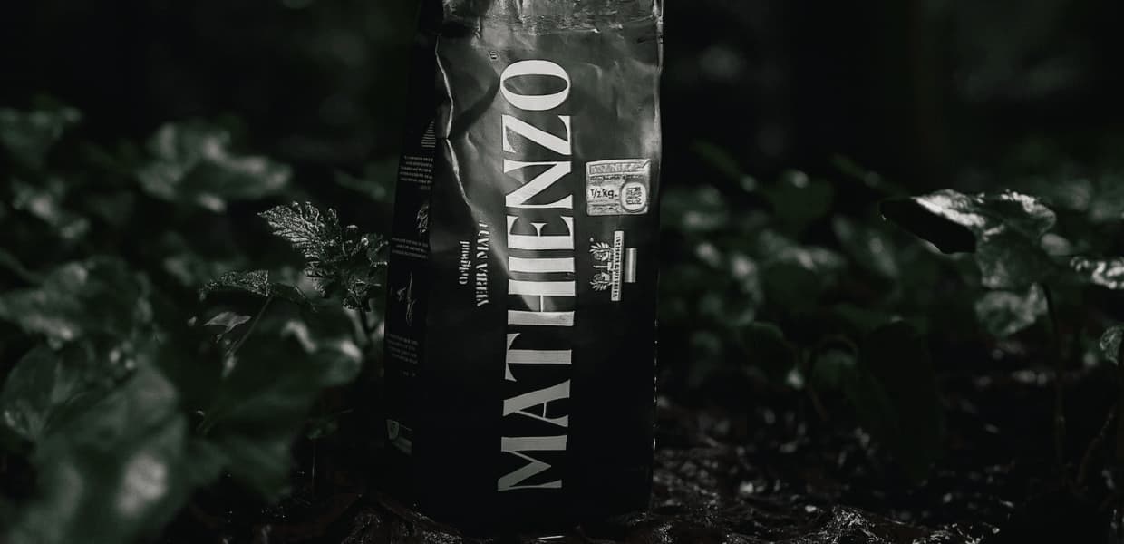 Imagen de portada para Yerba Mate 3.0: La tokenización llega al oro verde de la mano de una startup