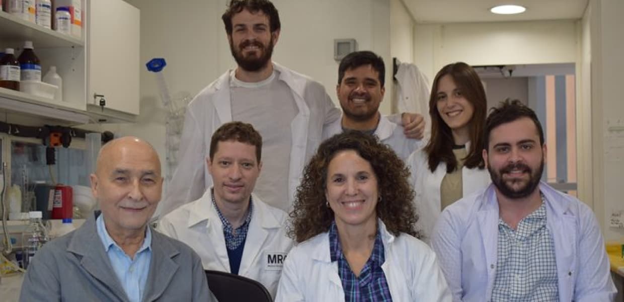 Imagen de portada para Científicos argentinos usan IA para observar por primera vez un neuroreceptor clave