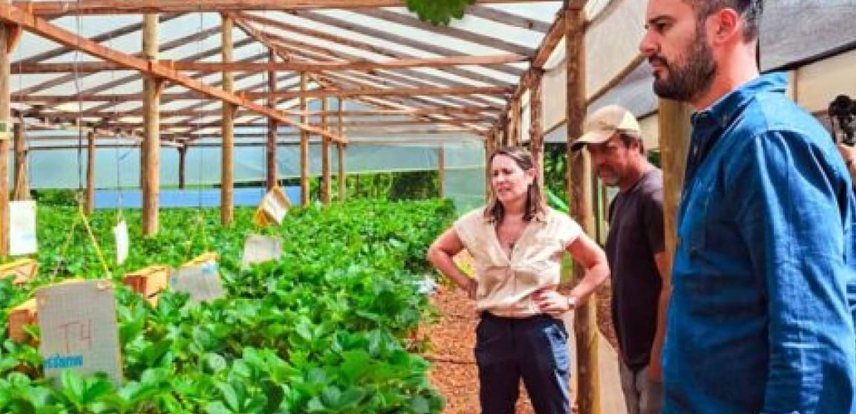 Imagen de portada para Biofábrica Misiones prepara la campaña hortícola 2026 con foco en sanidad y tecnología